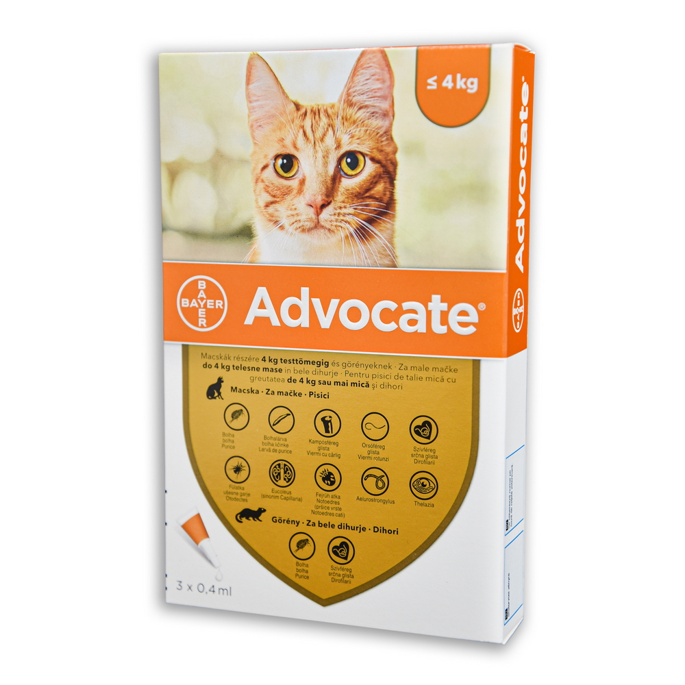 Advocate Cat 0,4 ML 4 kg alatt 3x