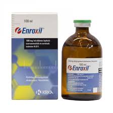  Enroxil 10% injekció 100 ml
