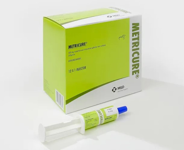 METRICURE 500 MG INTRAUTERIN SZUSZPENZIÓ SZARVASMARHÁK RÉSZÉRE A.U.V.