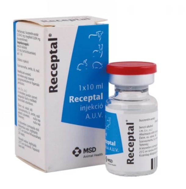 RECEPTAL injekció A.U.V.